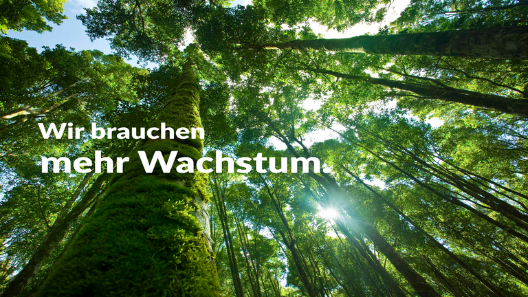 Das Motiv der Kampagne Kampagnenslogan: "Wir brauchen mehr Wachstum.", im Hintergrund zu sehen: Ein Baum, der in die Höhe ragt.