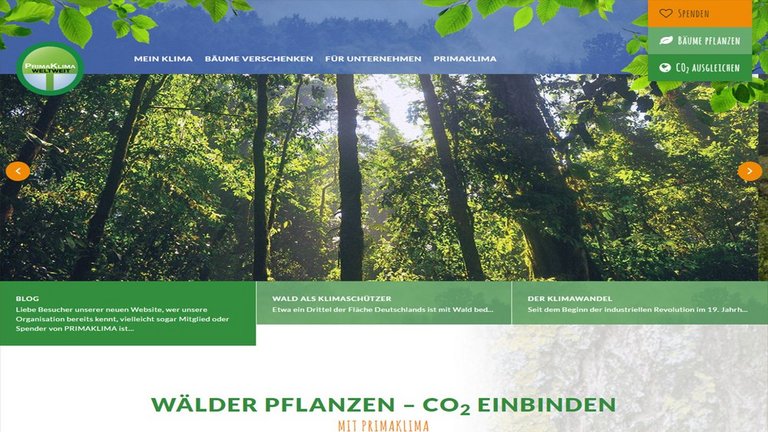 Screenshot der alten Website