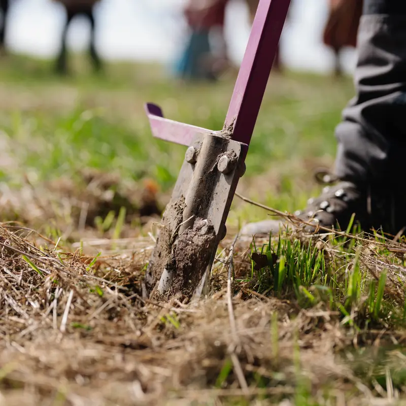 Das Pflanzwerkzeug wird in die Erde gestochen.
