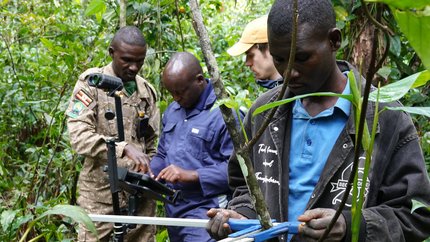 Projektmitarbeitende beim Kohlenstoff-Monitoring im Kibale-Nationalpark