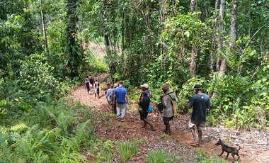 Personen und ein Hund gehen im Regenwald einen Hang hinunter.