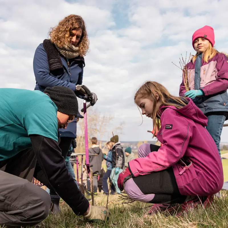 Kinder und Erwachsene pflanzen gemeinsam einen Baum.