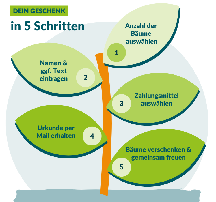 Die Grafik zeigt auf, wie du in 5 Schritten Bäume verschenken kannst:   1. Bestimme die Anzahl der Bäume  2. Trag deinen Namen und den der Person, die du mit dem Geschenk überraschst, ein  3. Wähle dein bevorzugtes (Online-) Zahlungsmittel aus  4. Erhalte deine personalisierte Urkunde direkt per E-Mail  5. Der große Moment ist gekommen: Überreiche dein Geschenk und freue dich über strahlende Gesichter 