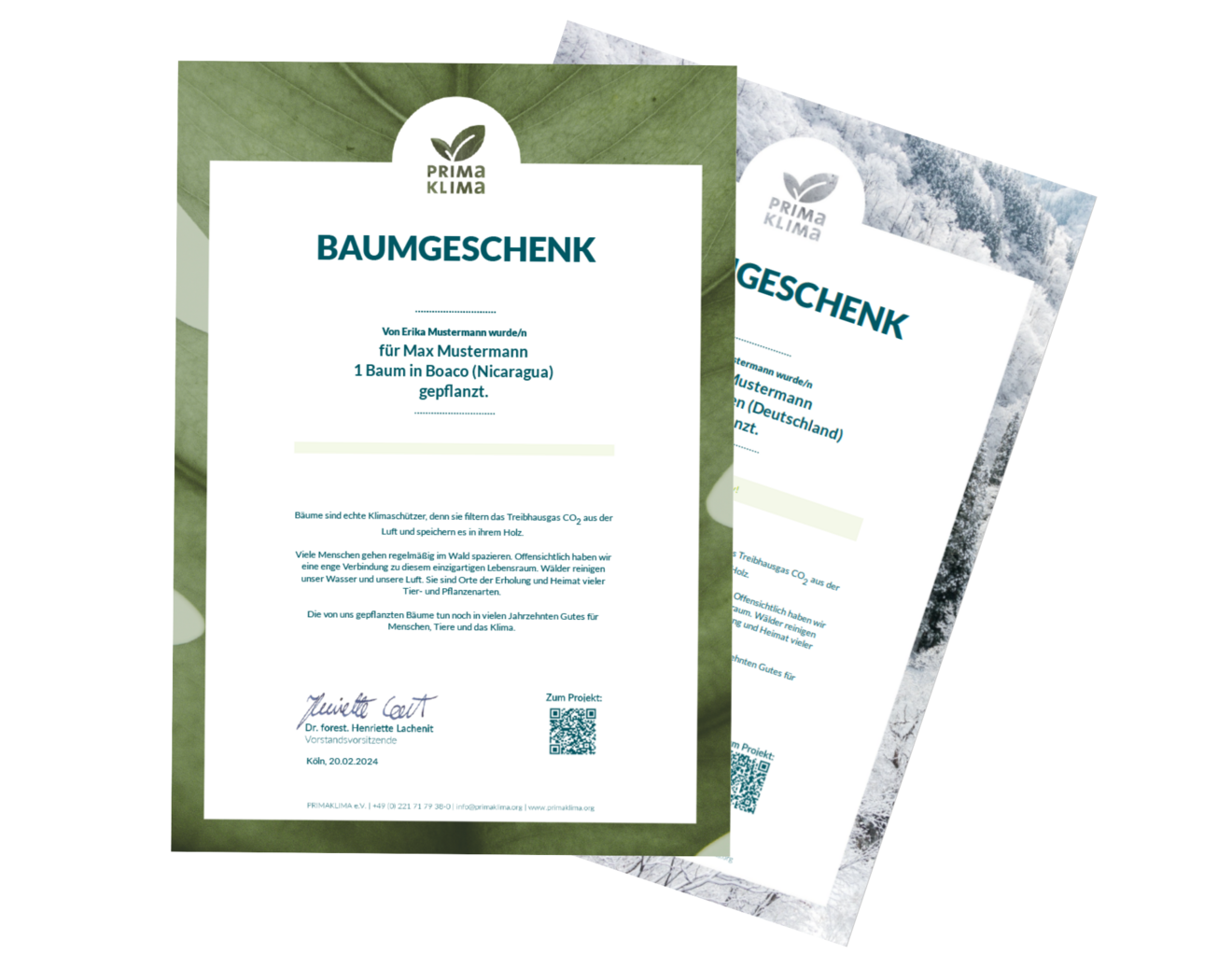 Baumurkunde als Dank für Spende, in Sommer- oder Wintermotiv.