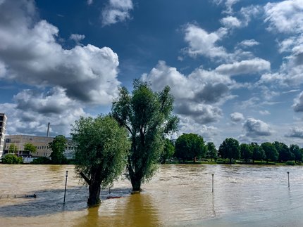 Hochwasser in Ulm im Juni