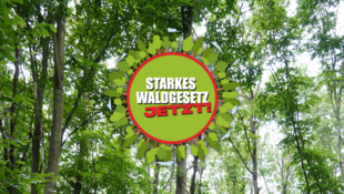 Das Logo der Initiative "Starkes Waldgesetz jetzt!"