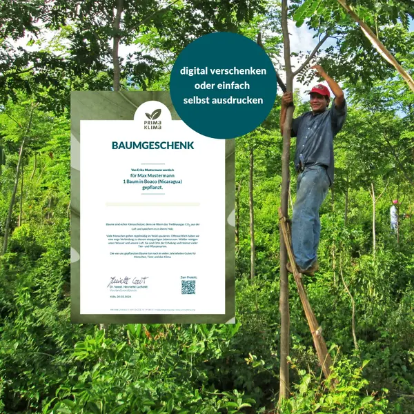 Baumurkunde als Dank für Spende, digital versendbar oder druckbar.